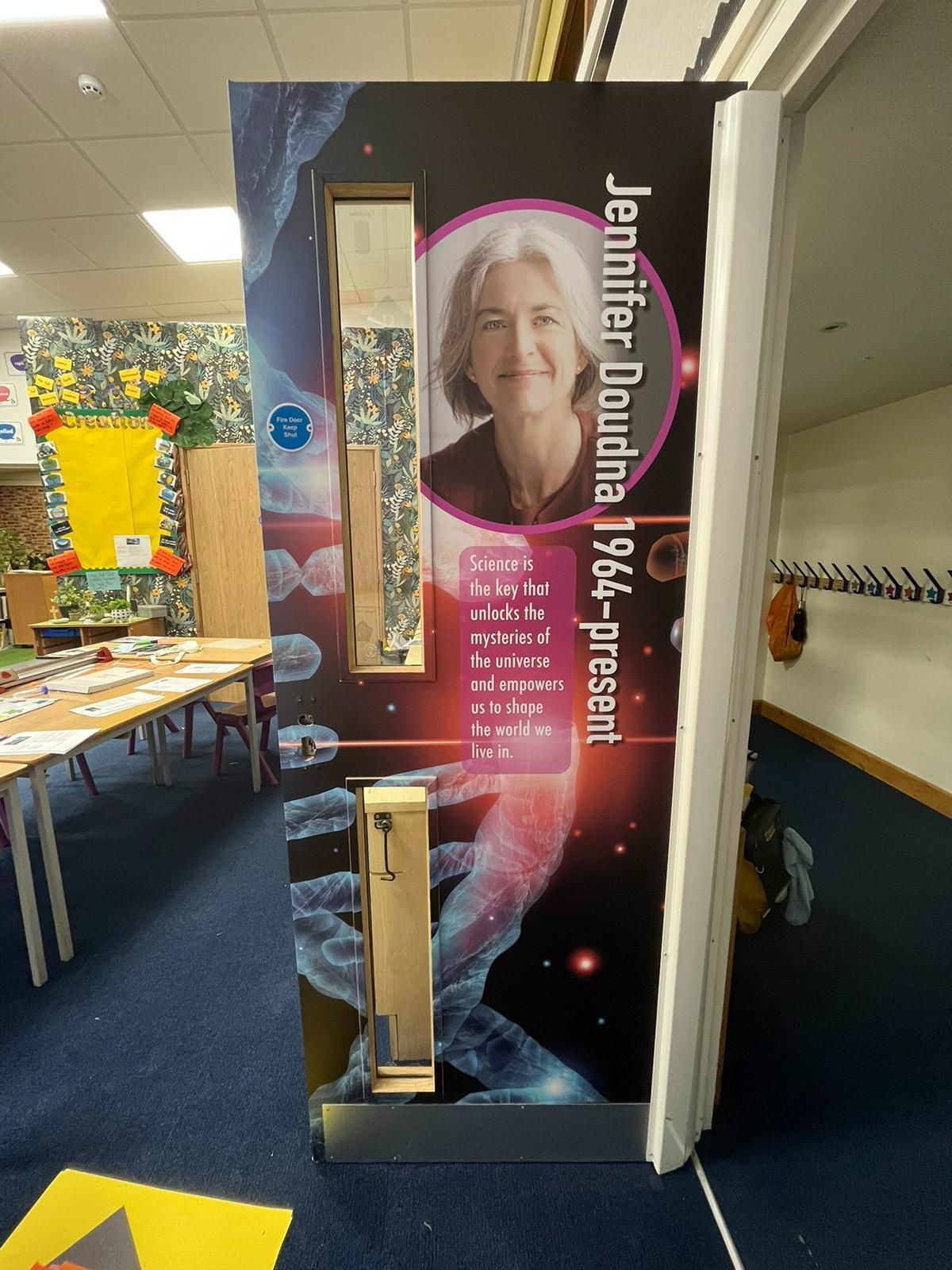 Door Vinyl Graphics