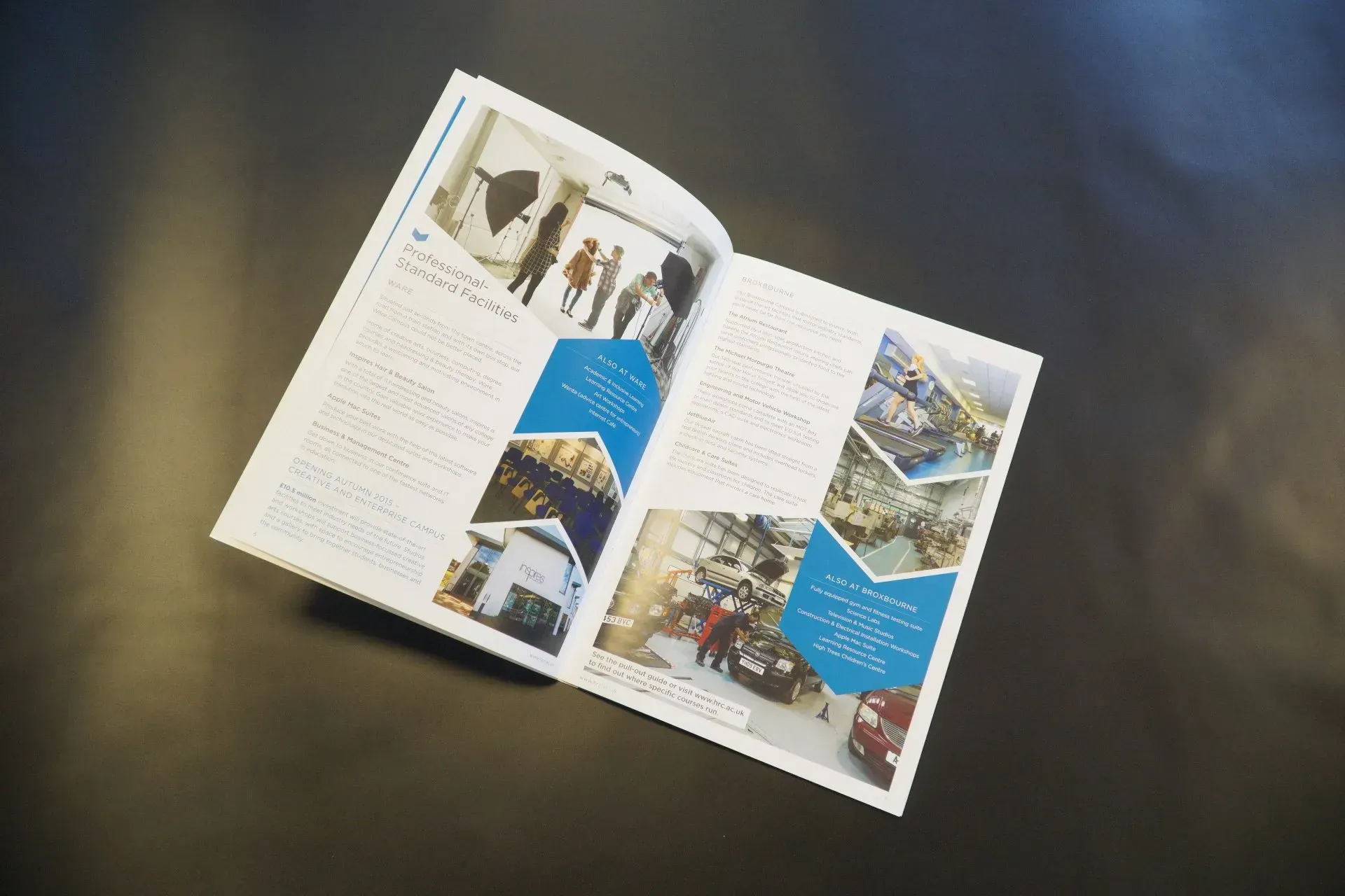 Professional standards prospectus brochure 