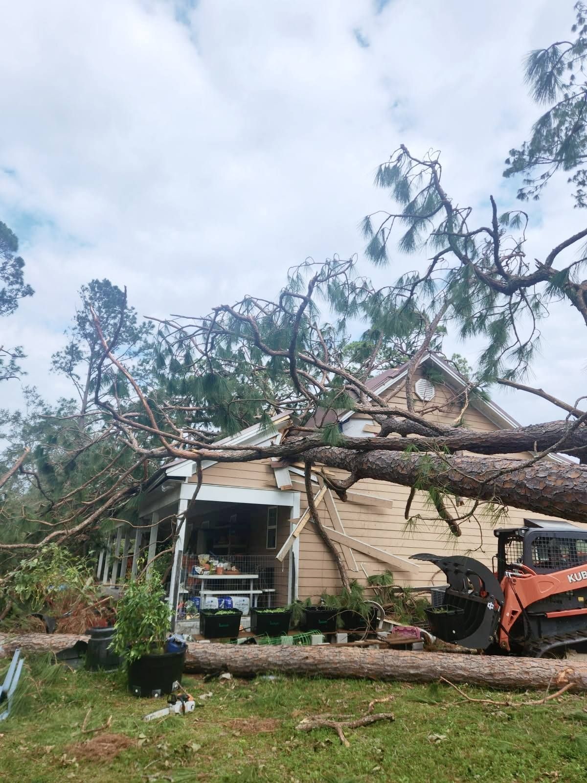 A large tree has fallen on a house.
