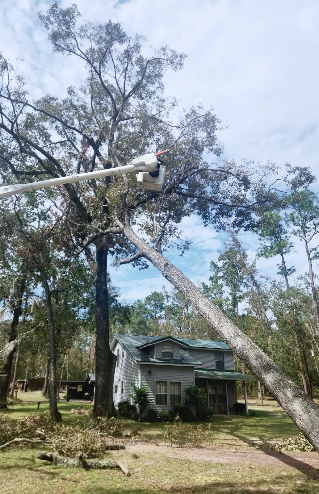 A man in a bucket is cutting a tree in front of a house.