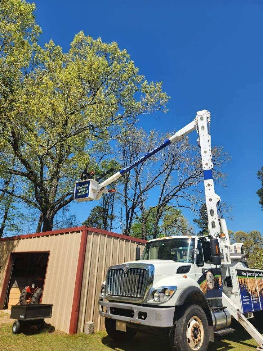 A white truck with a crane attached to it is cutting a tree.