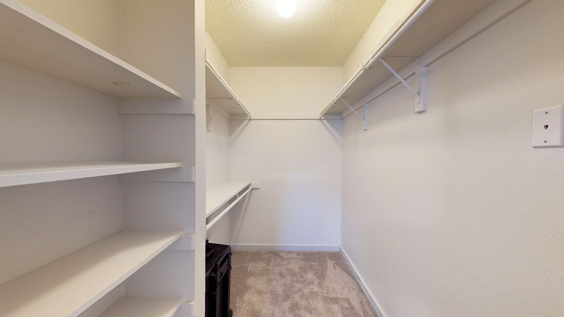 Empty walk-in closet with white shelves and a carpeted floor.
