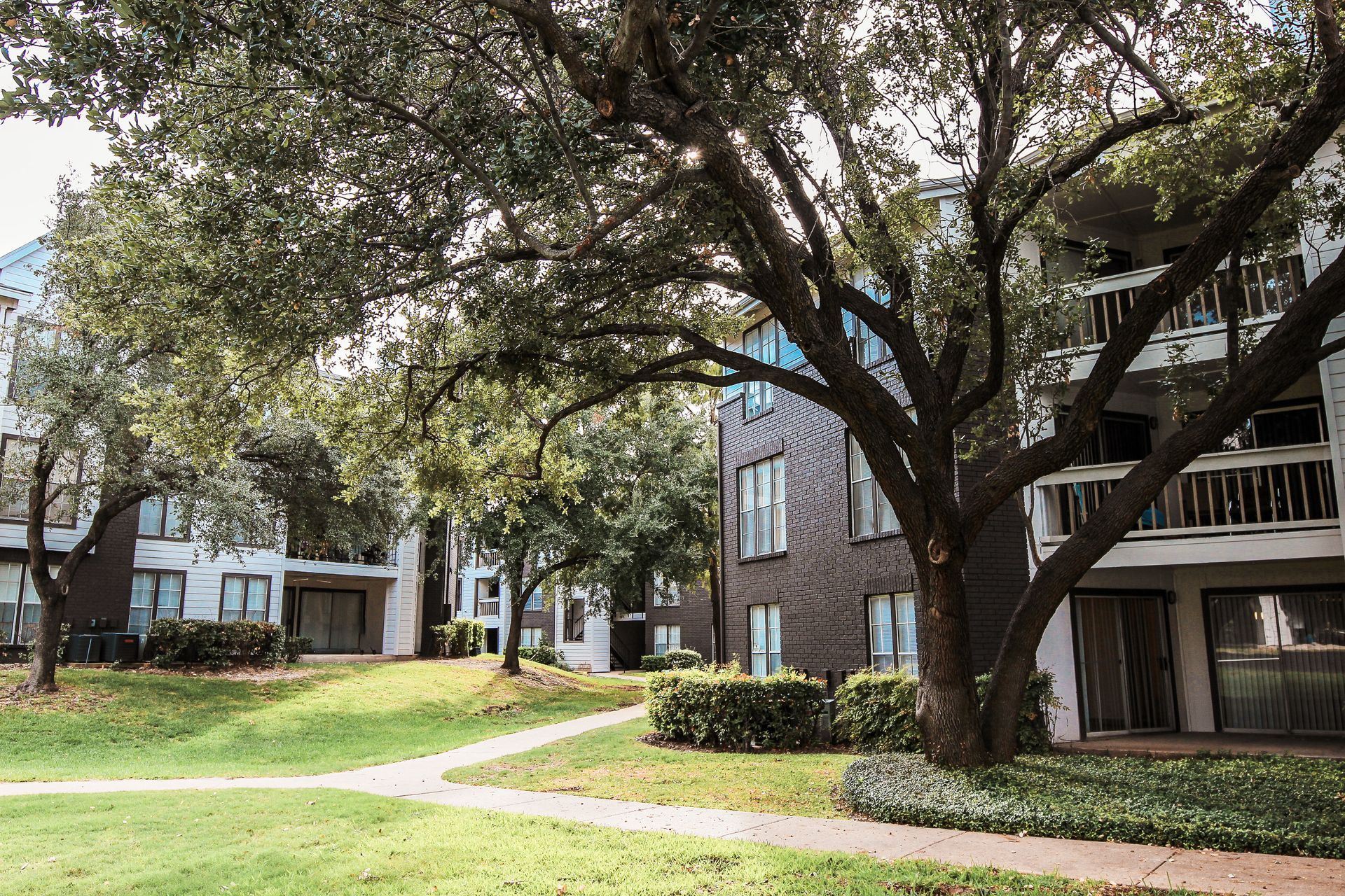 Apartment buildings with large trees and a grassy courtyard path