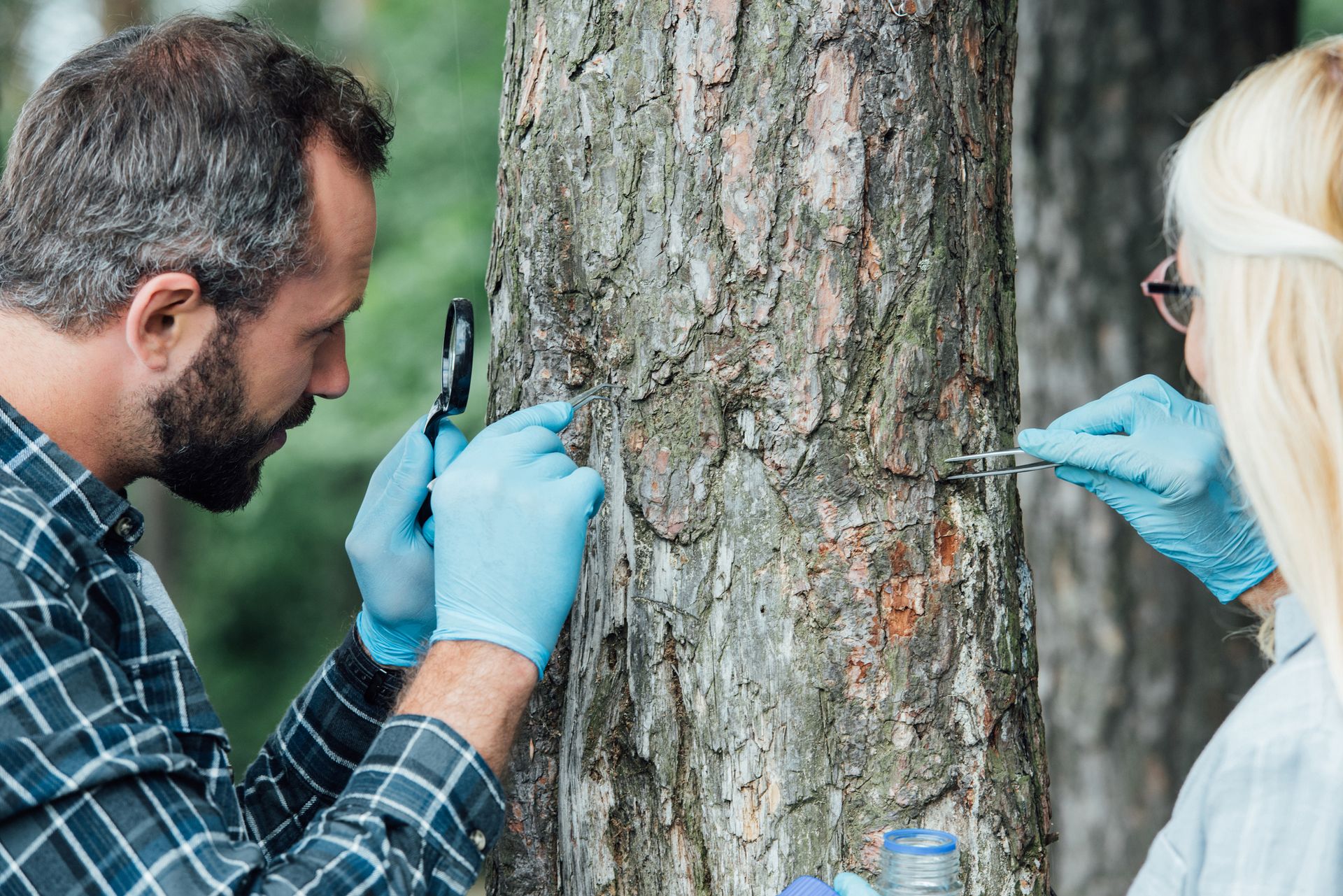 Man And Woman Checking Tree Trunk — Macon, GA — Montgomery Inc. Tree Service Man And Woman Checking Tree Trunk — Macon, GA — Montgomery Inc. Tree Service