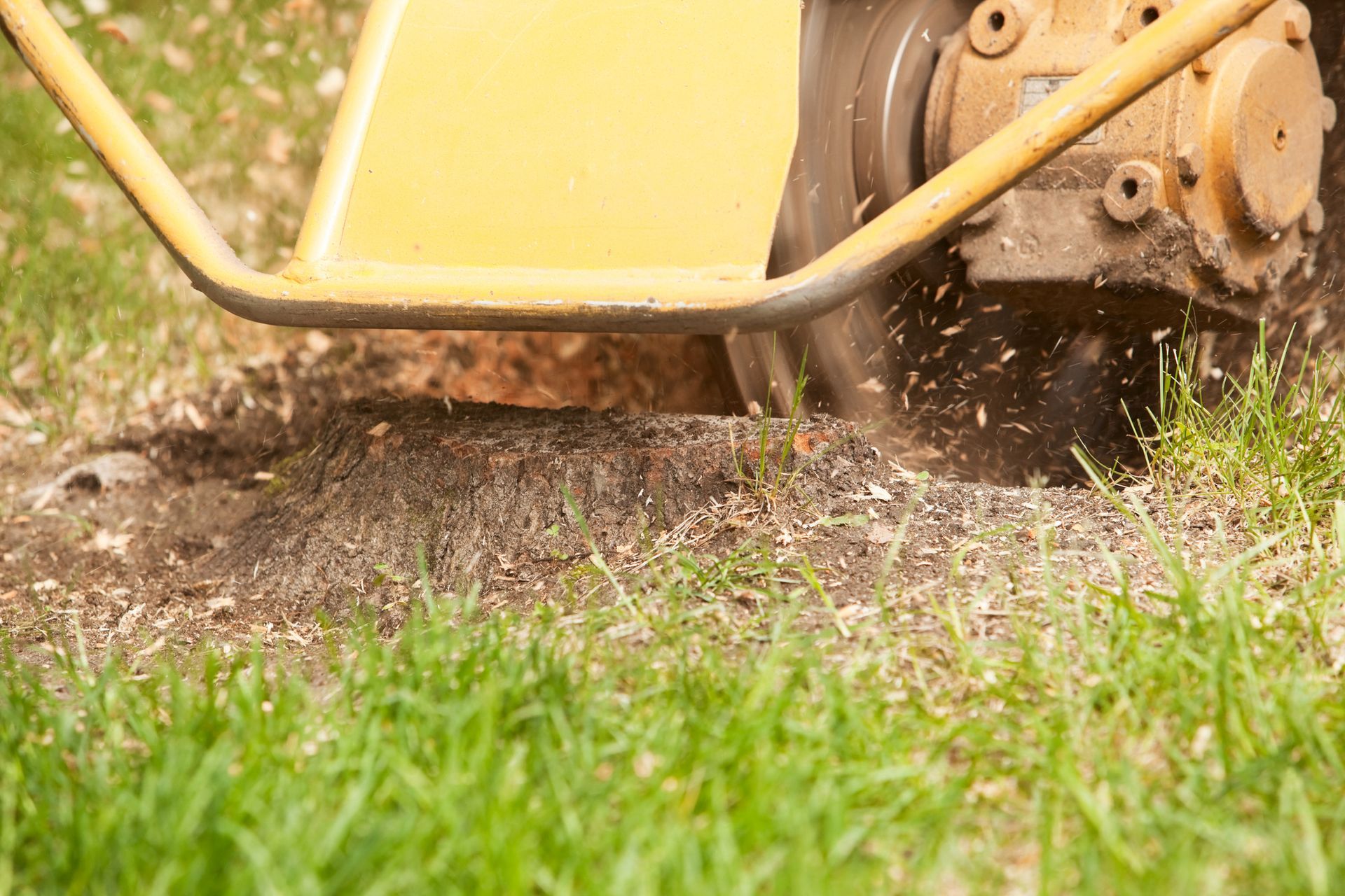 Stump Grinding — Macon, GA — Montgomery Inc. Tree Service Stump Grinding — Macon, GA — Montgomery Inc. Tree Service
