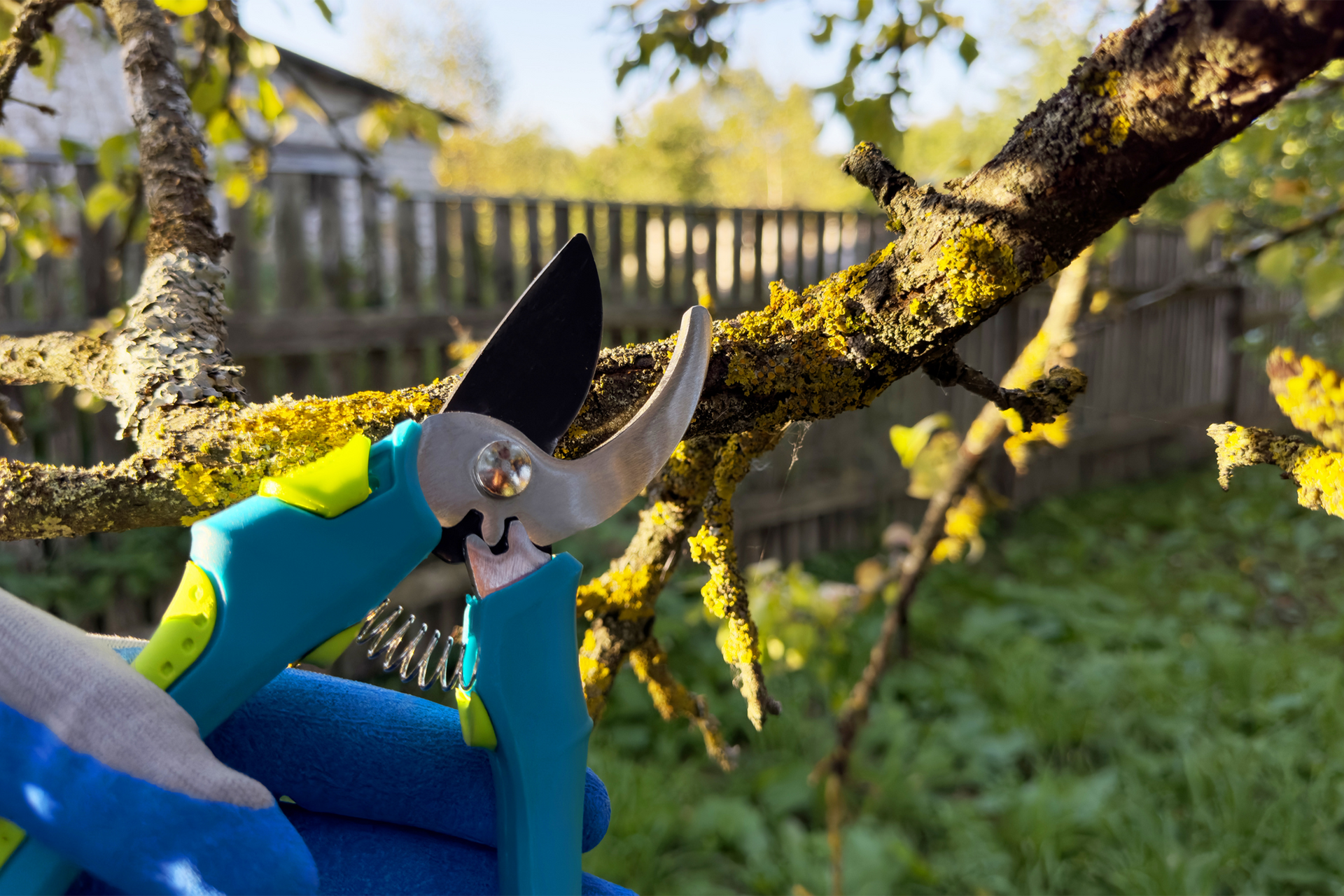 Cutting Tree Branch — Macon, GA — Montgomery Inc. Tree Service Cutting Tree Branch — Macon, GA — Montgomery Inc. Tree Service