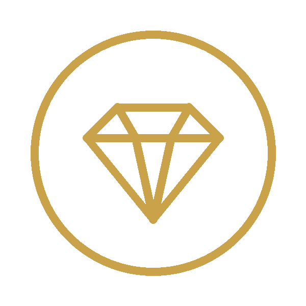 Wealth + Mindset