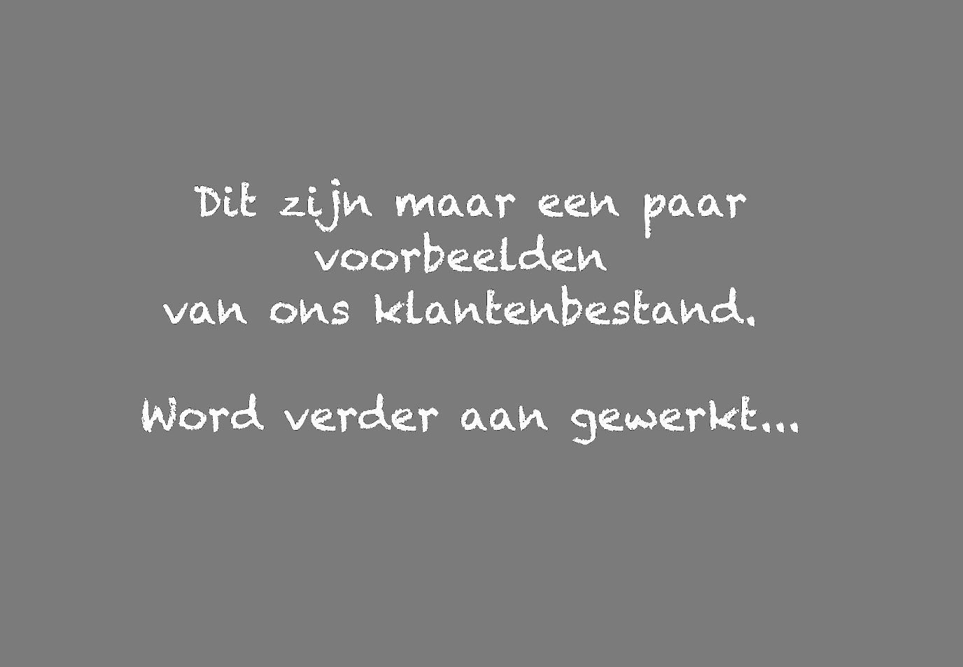 Grijze slide met witte tekst: “Dit zijn maar een paar voorbeelden van ons klantenbestand. Word verder aan gewerkt…”