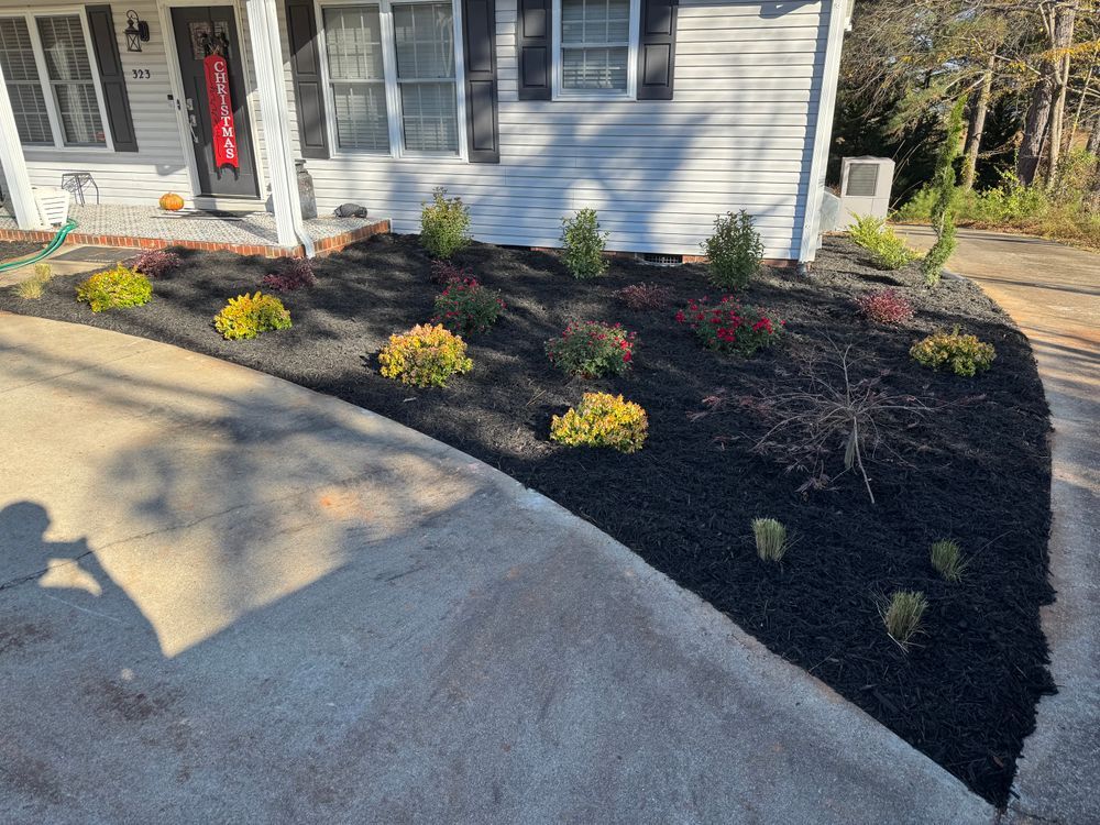 Landscaped front yard with dark mulch and various green and yellow shrubs.