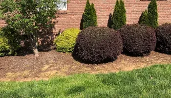 Grandview Lawn Care 13