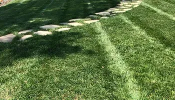 Grandview Lawn 15