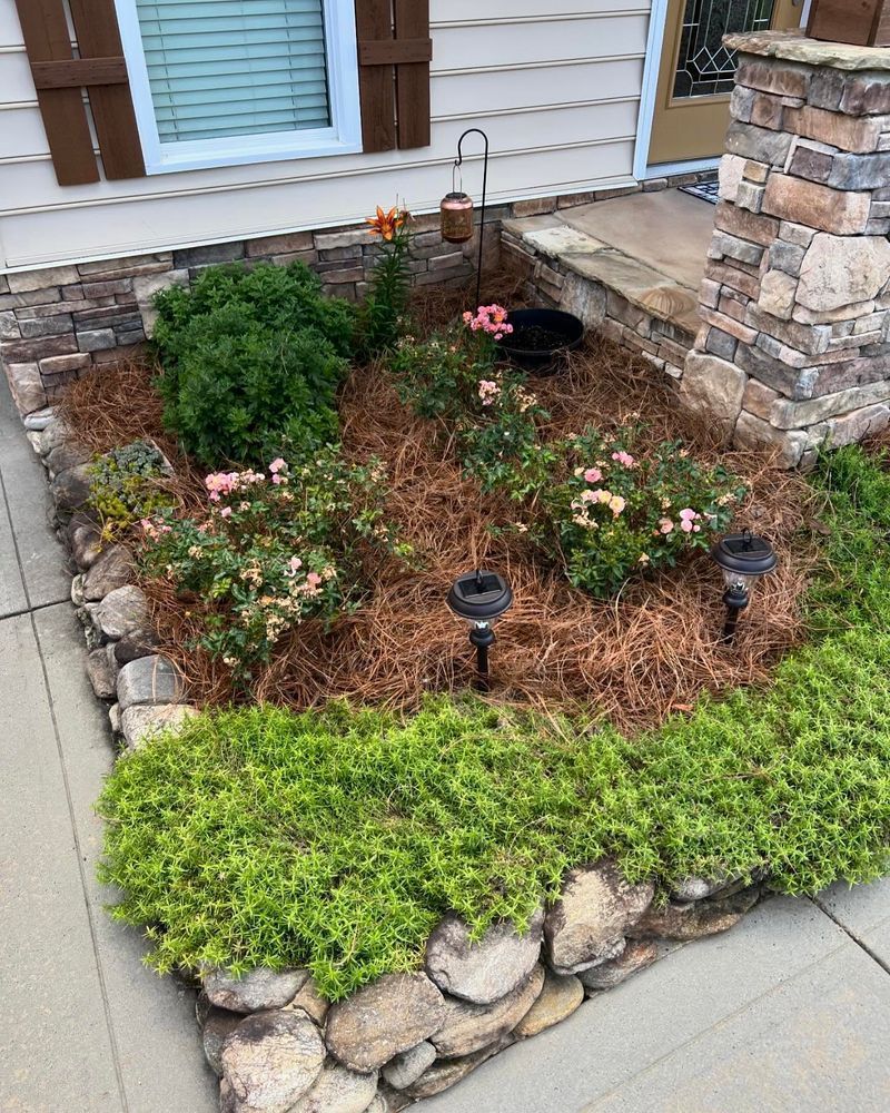 Stone-lined flower bed with green and pink plants, covered in brown mulch, and solar lights.
