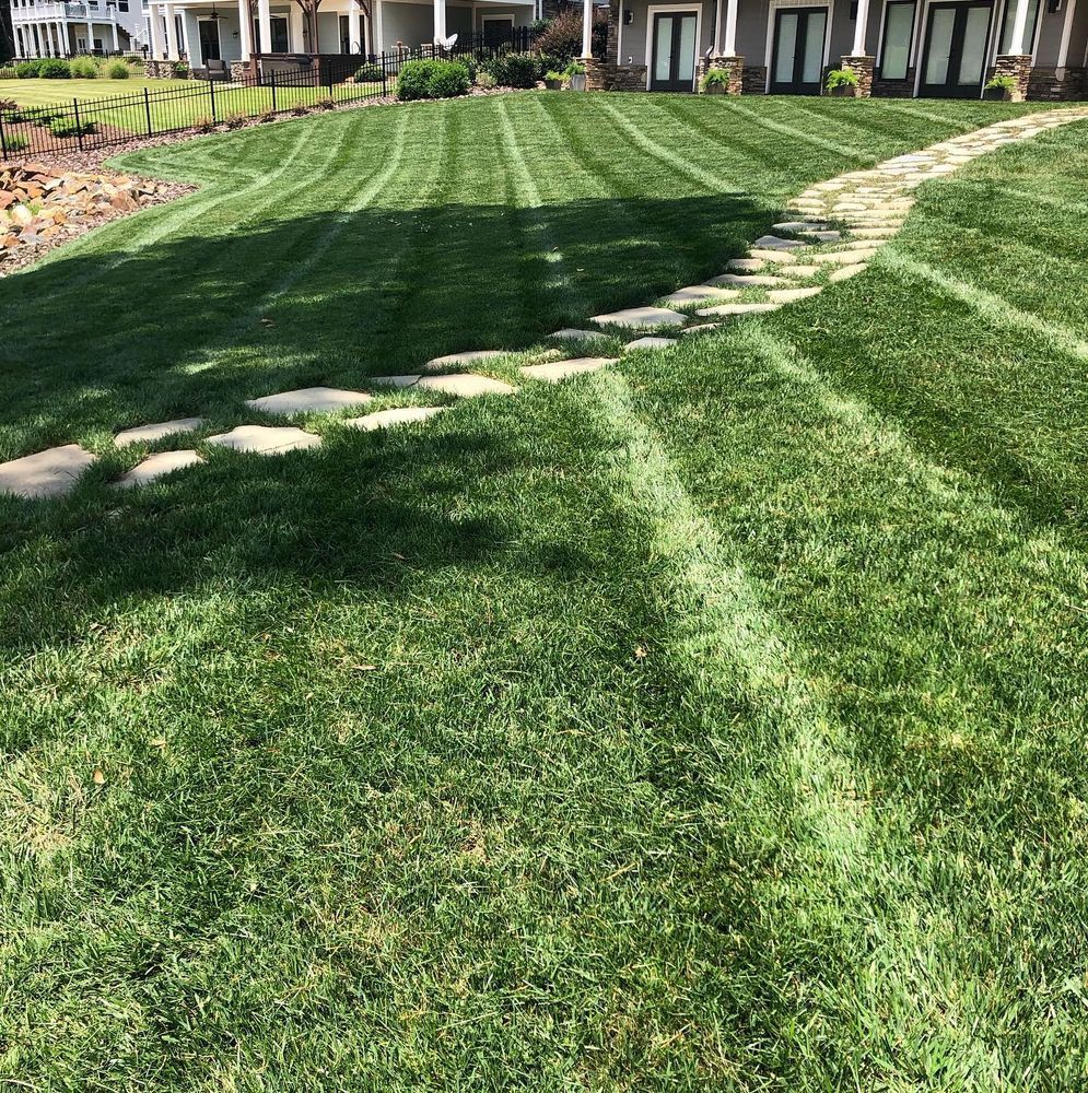 Green lawn with a stone path leading up to houses in the background.