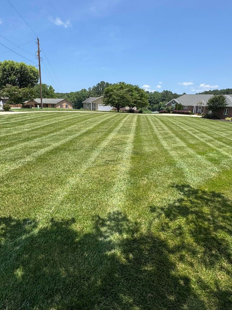 Lawn project 1