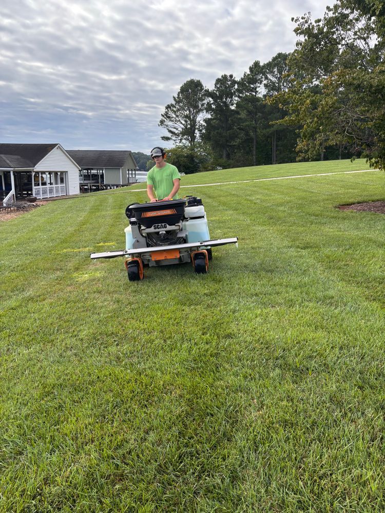 Lawn project 3