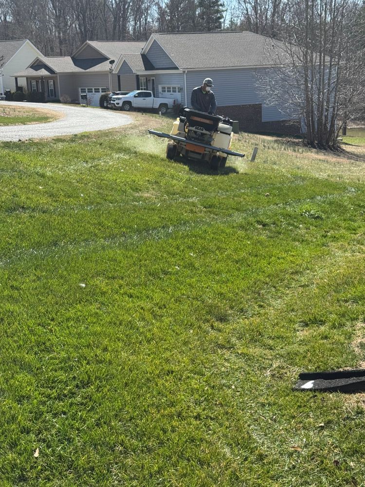 Lawn project 4