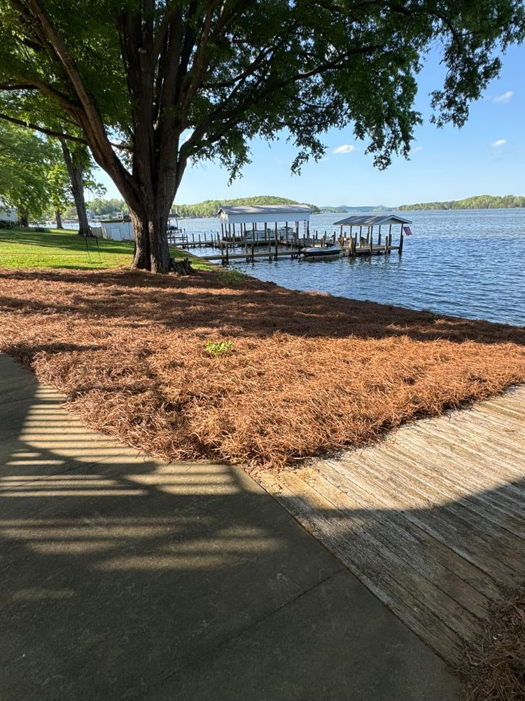 Lakeside scene with dock. Tree with brown mulch, boardwalk, and water with islands under blue sky.