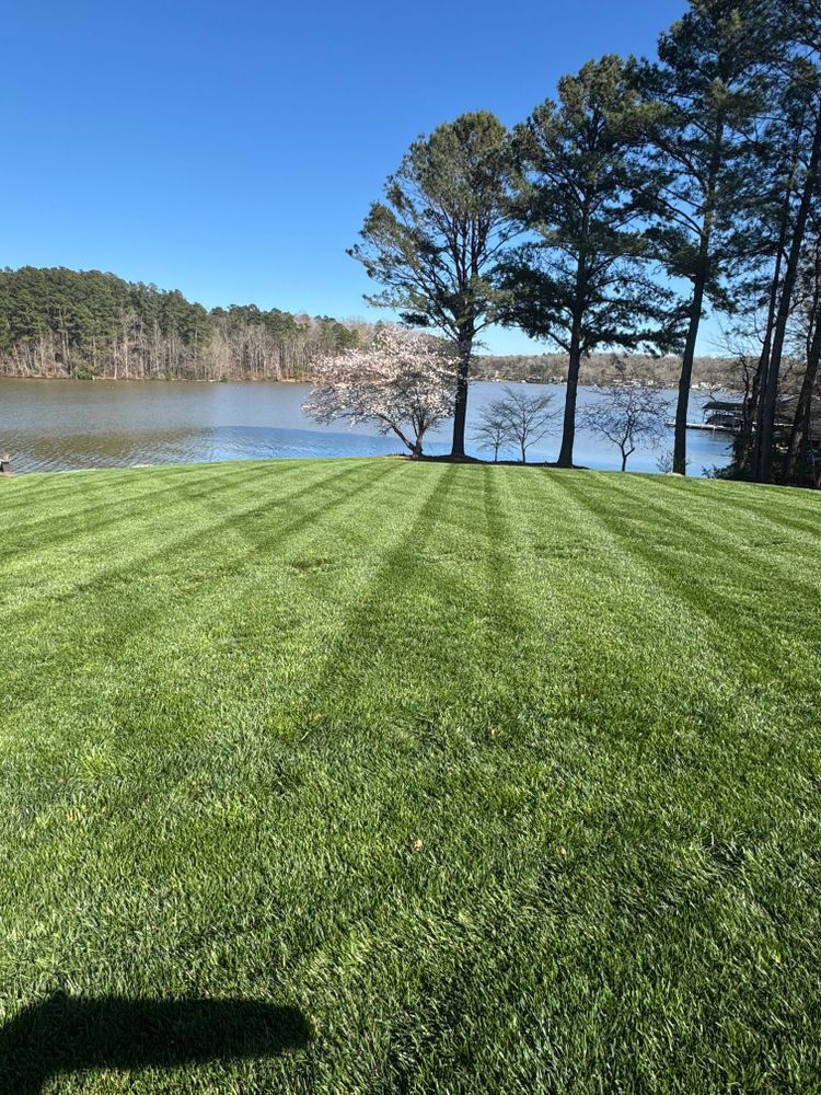 Lawn project 7