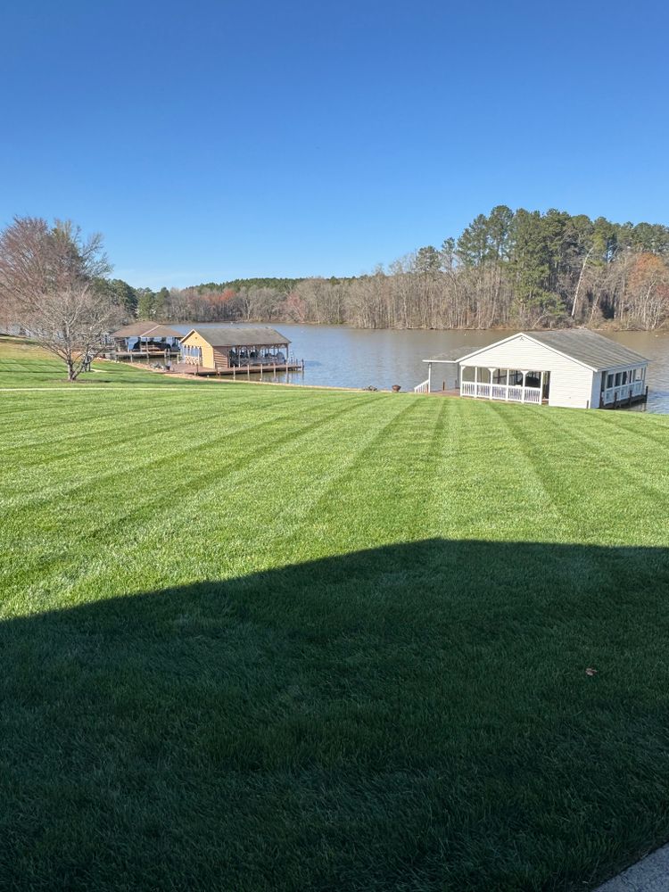 Lawn project 6