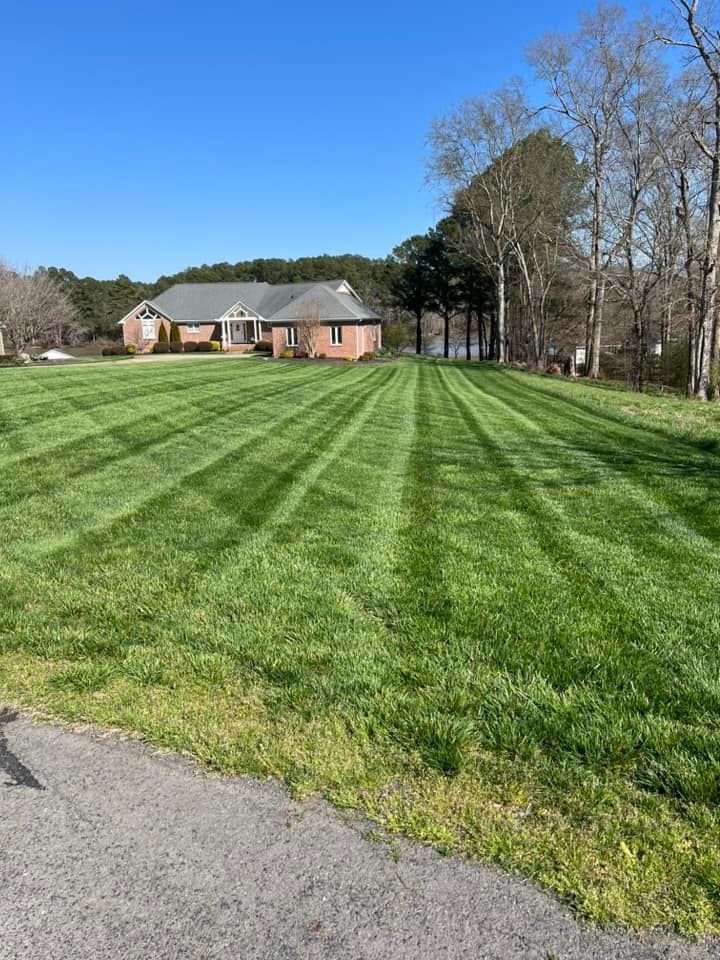 Lawn project 8