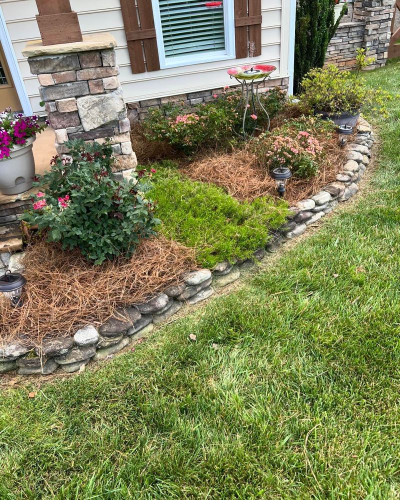 Stone-bordered flower bed with shrubs and pine straw mulch in front of a house with a green lawn.