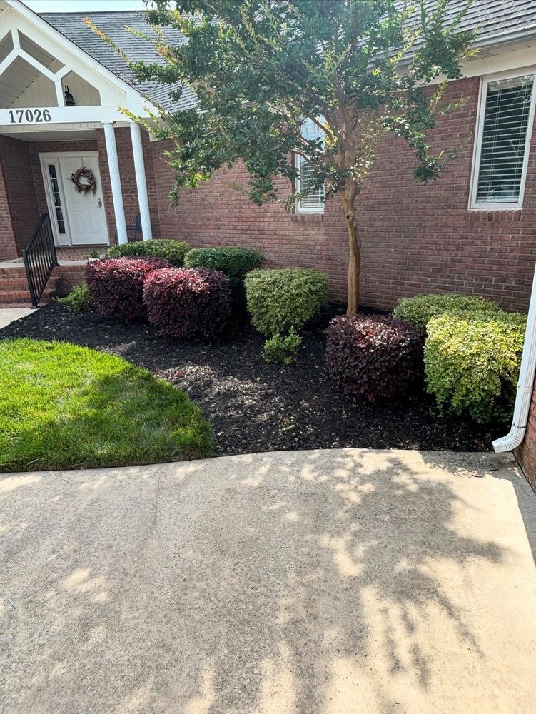 Landscaped front yard with dark mulch, various shrubs, and a tree in front of a brick building.