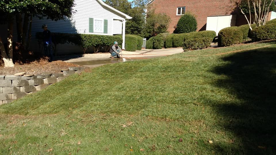Person kneeling on lawn, watering grass near a house and bushes on a sunny day.