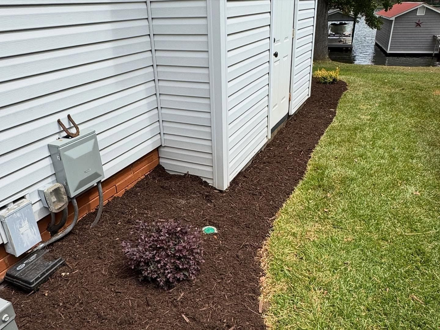 Building exterior with brown mulch border and a small purple bush next to green lawn.