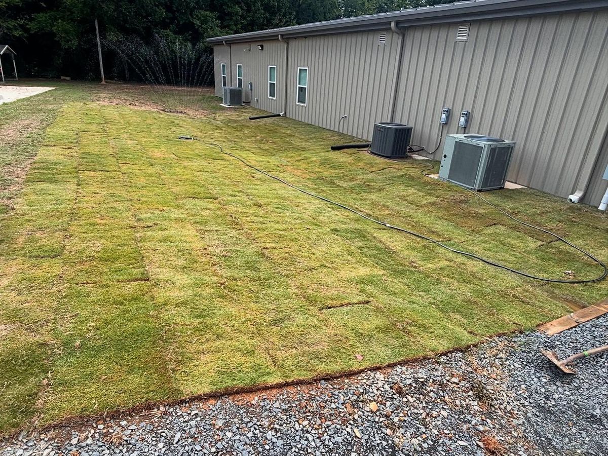 Sod installation 2