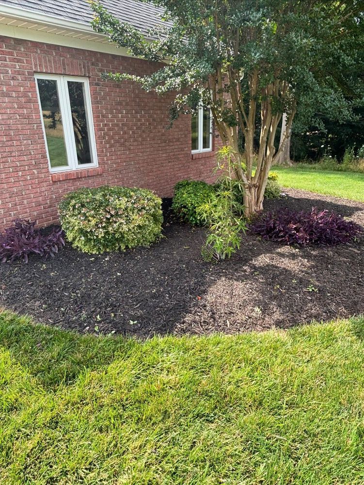 Landscaped area with shrubs, mulch, and brick building with white-framed windows.