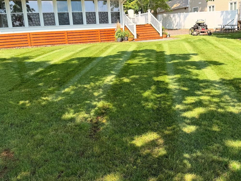 Lawn freshly mowed with stripes, house with deck in background, sunny day.