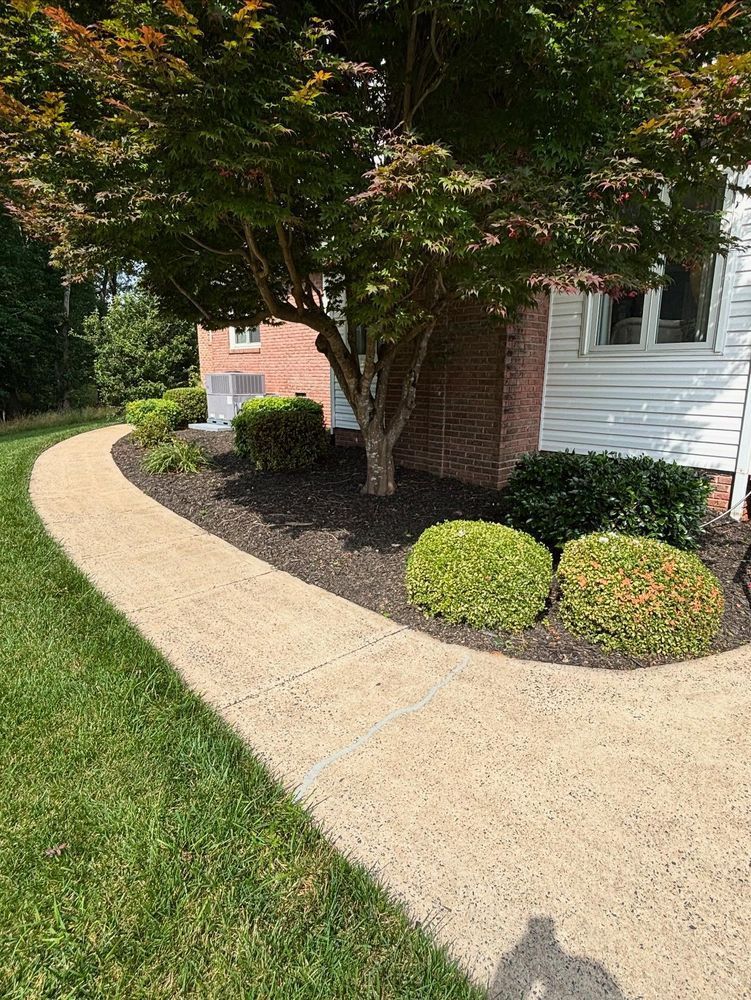 Concrete walkway curves past tree and bushes in front of a house, with green grass to the side.