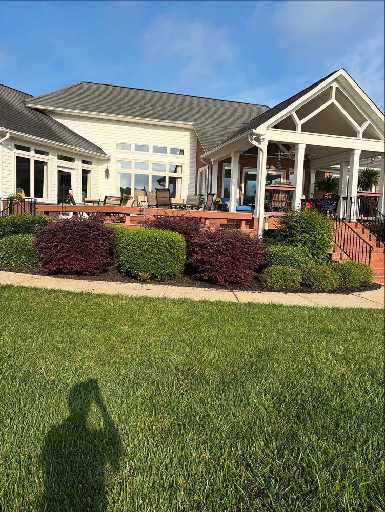 Backyard with a house and porch, with a green lawn and shrubs in front. Shadow of person taking photo.