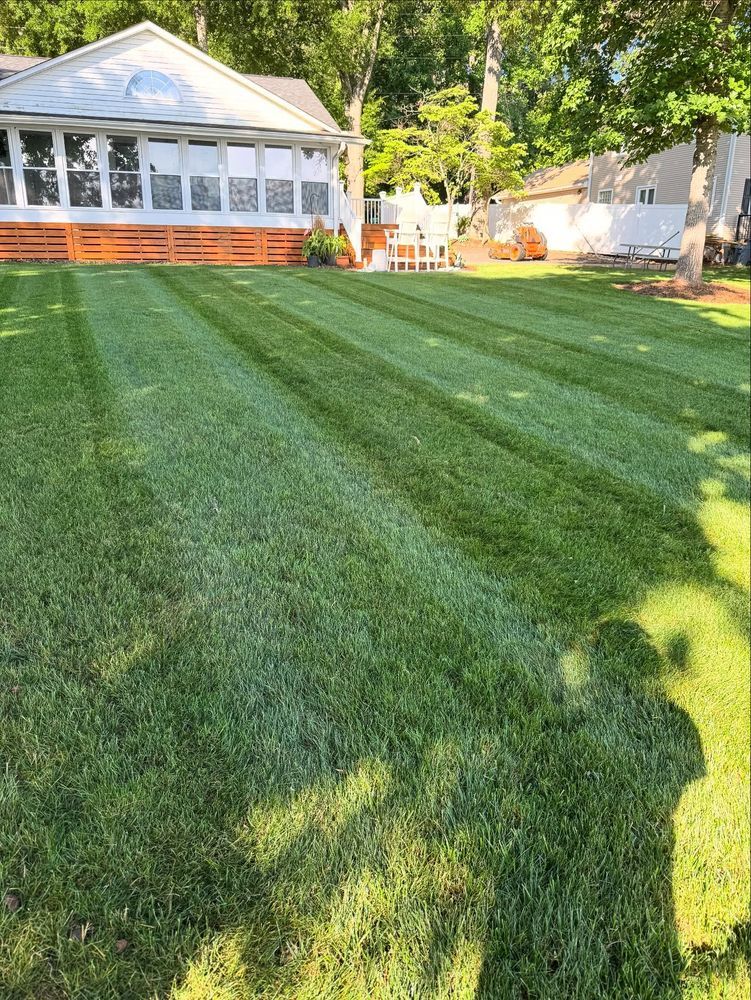 Lawn with alternating stripes of cut and uncut grass, house in background, sunny day.