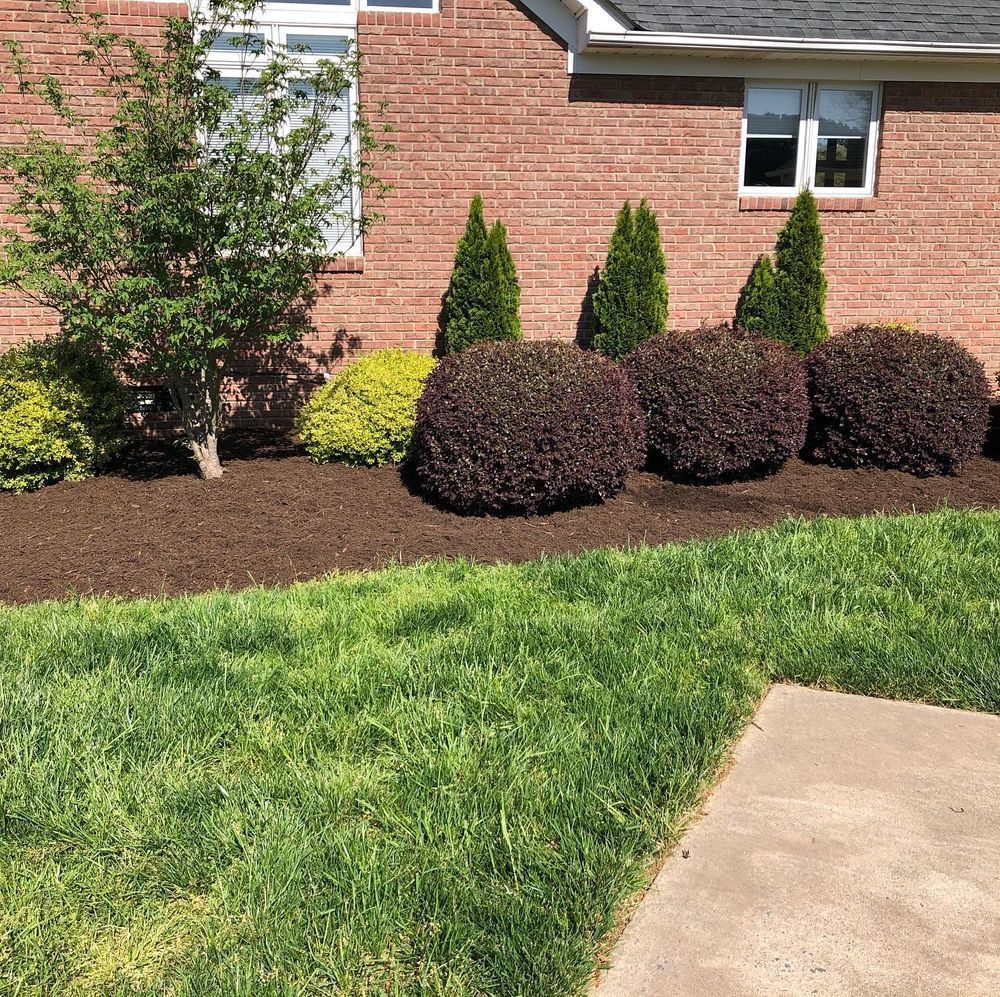 A well-manicured lawn with brick house and landscaping bed with dark mulch, shrubs, and small trees.