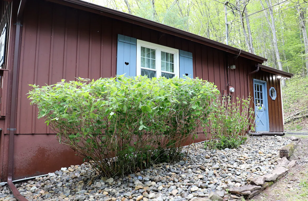A small red house with blue shutters and a bush in front of it.