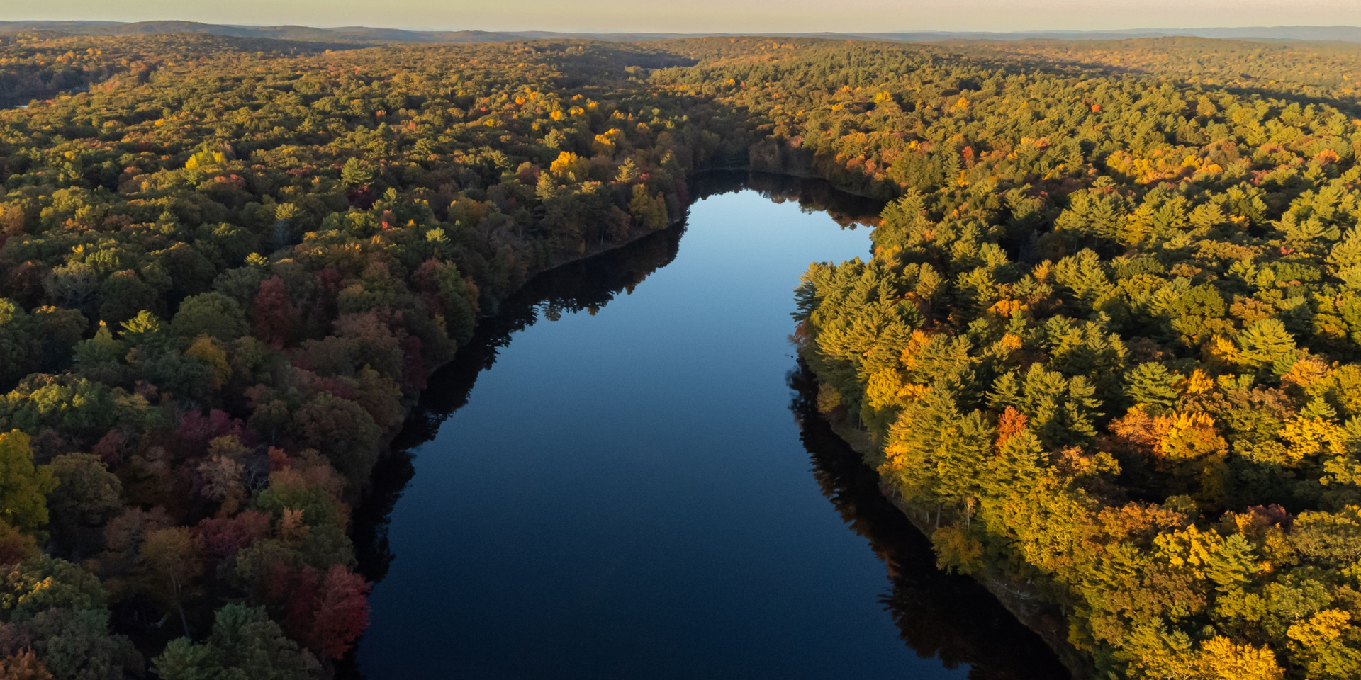 An aerial view of a river surrounded by trees.