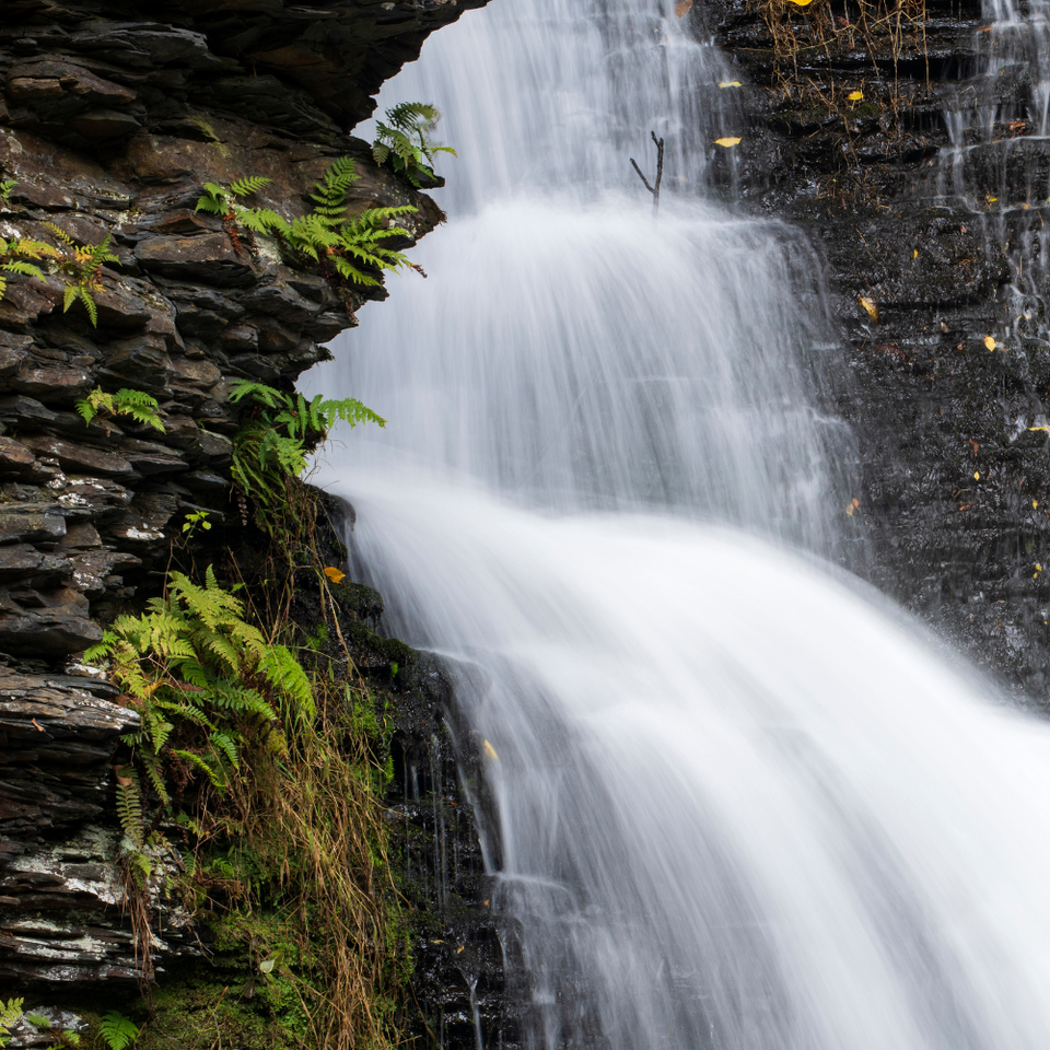 A waterfall is surrounded by rocks and ferns