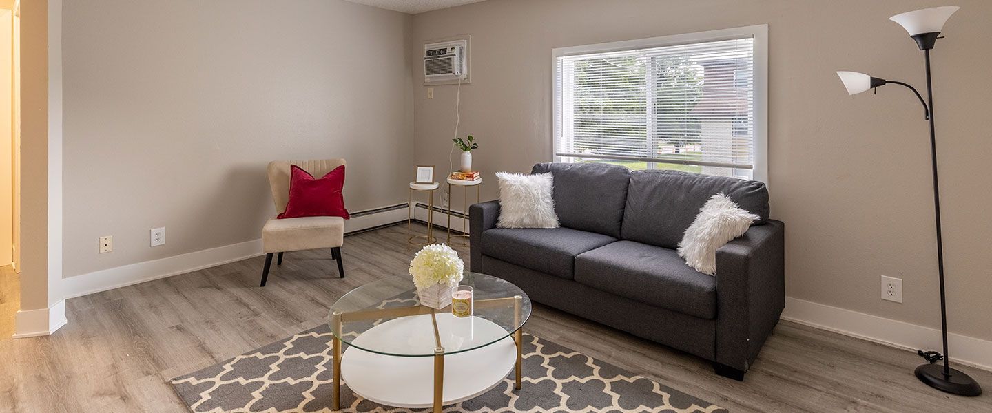 Bright living room with gray sofa, patterned rug, round coffee table, floor lamp, and chair by a window.