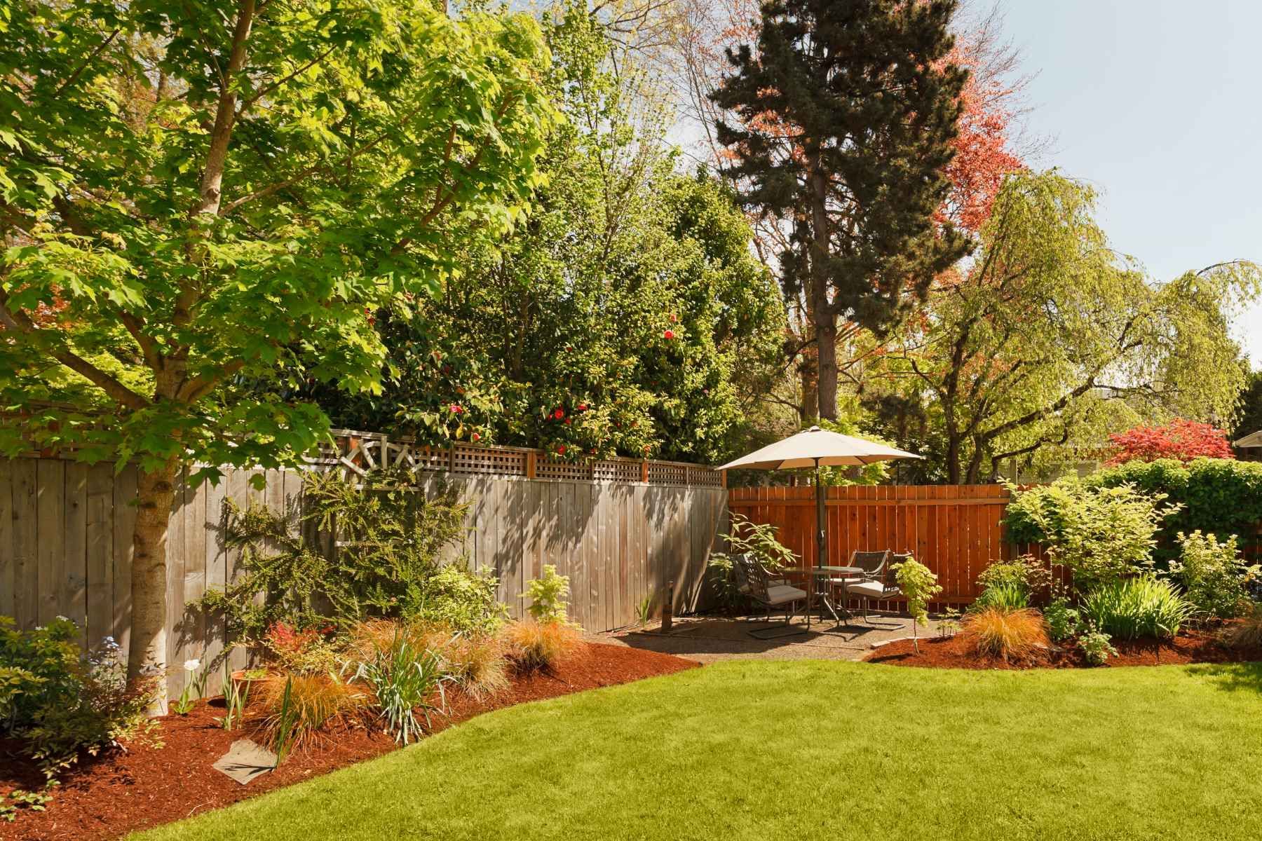 lawn care Stitsville