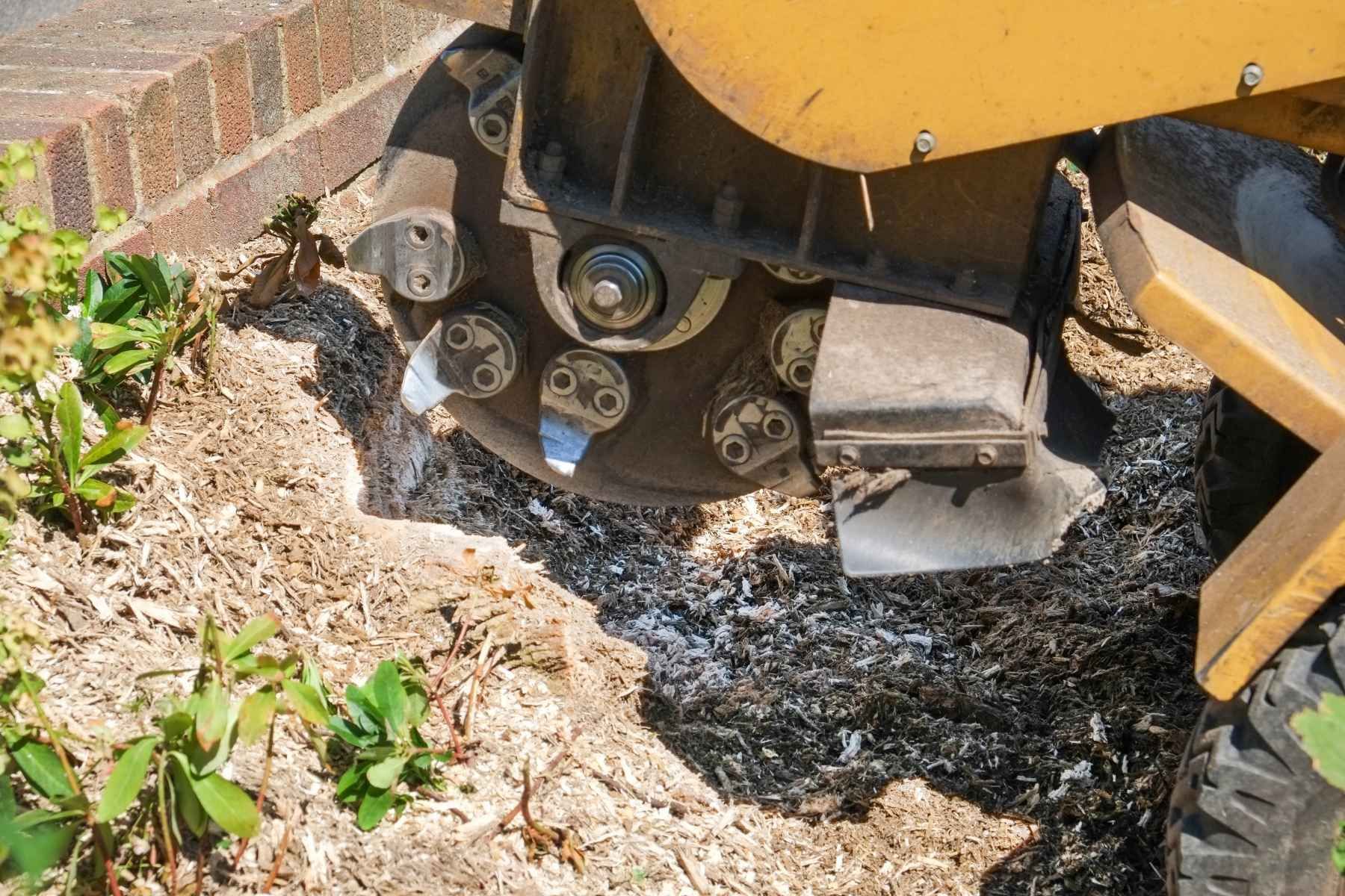 stump grinding company