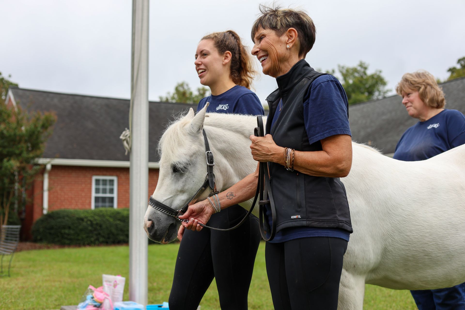 Butler's Riding School Lucas Stables and Riding Academy Home Page