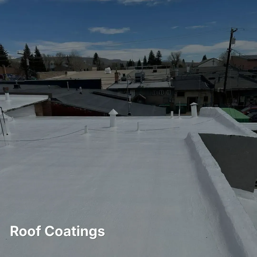 Roof coatings image
