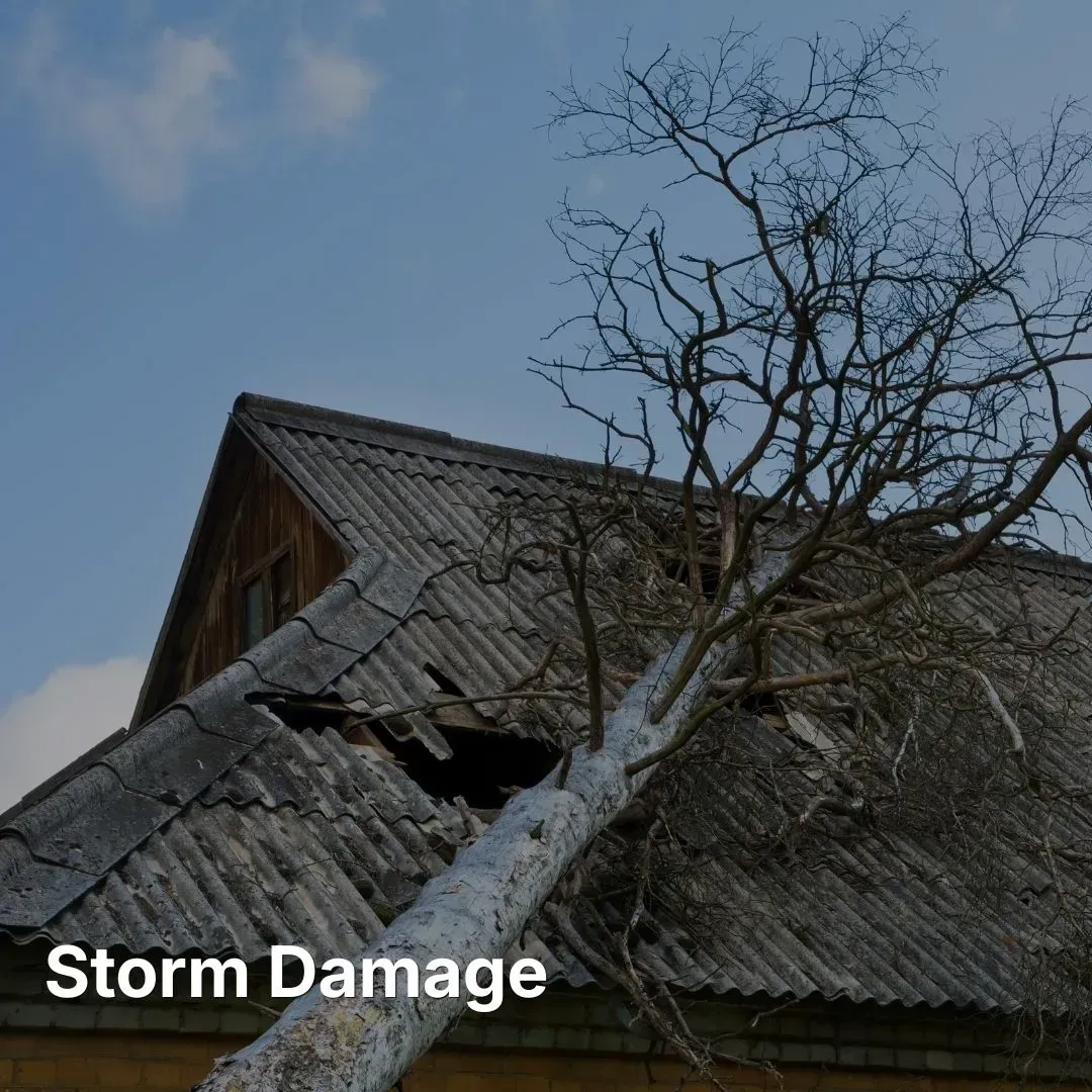 Storm damage roof