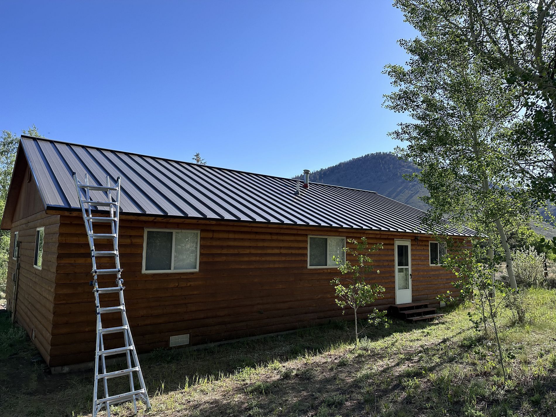 A log cabin with a metal roof and a ladder on the side