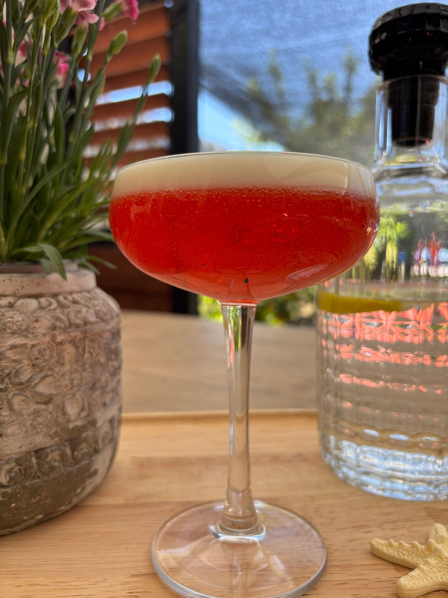 Een rode cocktail in een coupeglas op een houten tafeltje naast een potplant en een fles water, met een zeester erop.