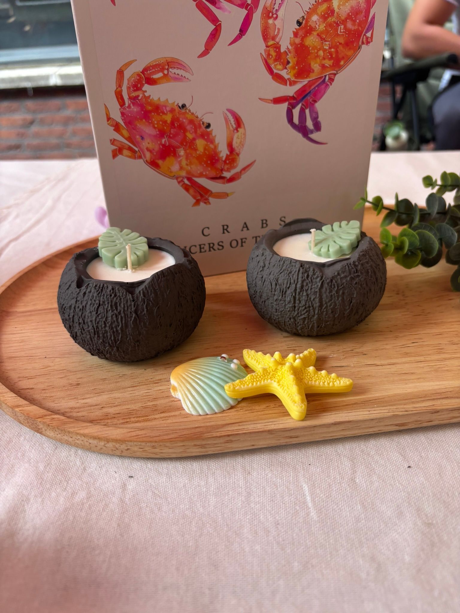 Twee kleine vetplantjes in donkere ronde potjes met zeesterren en schelpen als decoratie op een houten dienblad.