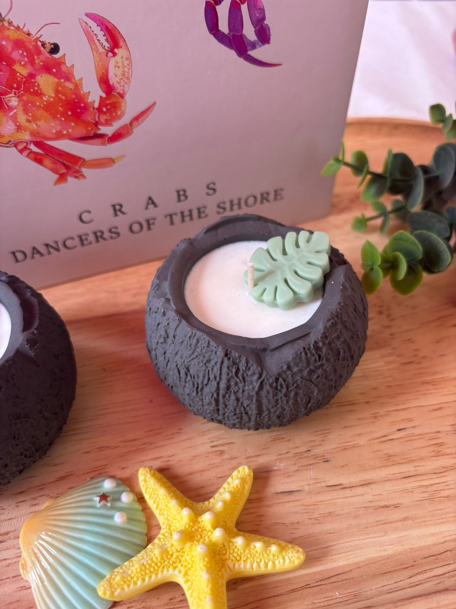 Twee kleine vetplantjes in donkere ronde potjes met zeesterren en schelpen als decoratie op een houten dienblad.