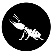 White ant silhouette inside a black circle, facing left.