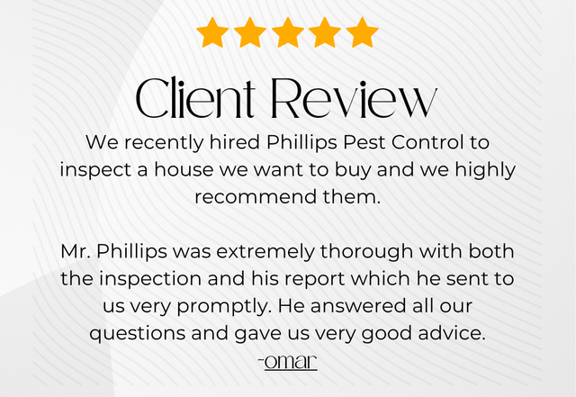 Five gold stars above a client review testimonial praising a responsive, thorough real estate agent.